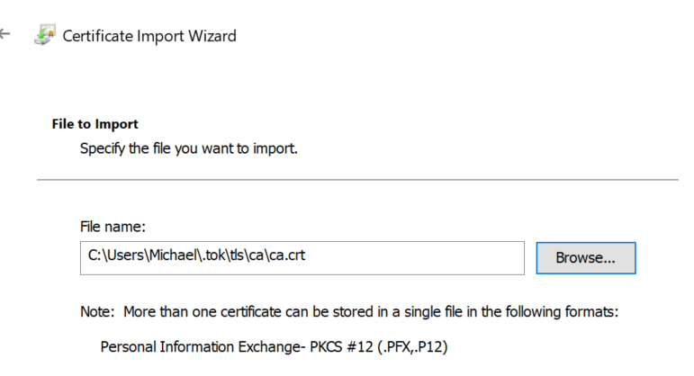 Windows TLS Import Certificate